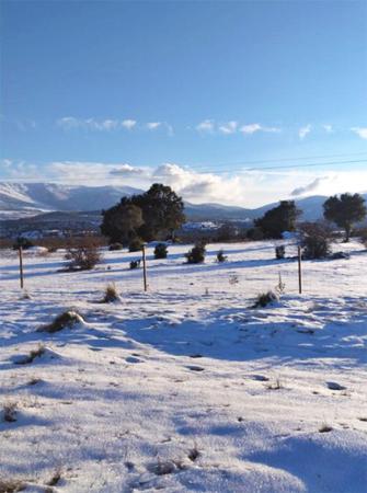 Paisaje nevado