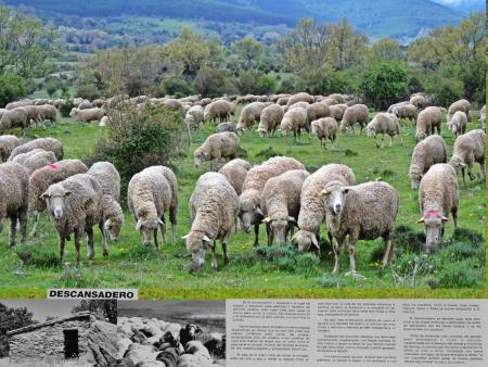 Descansaderos de ganado que había en el recorrido por la Cañada Real