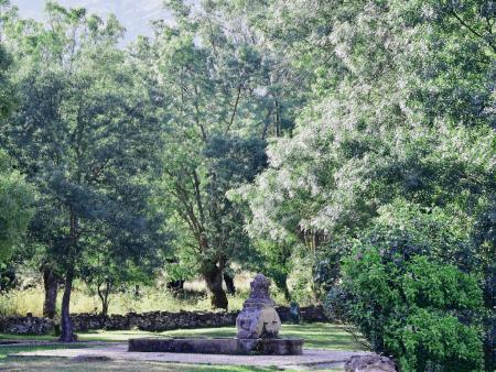 Fuente de Matamala rodeada de Fresnos