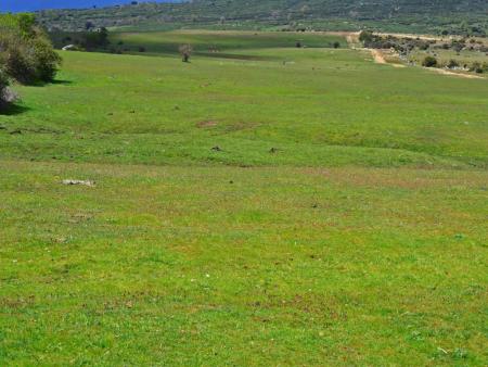 Panorámica de la Cañada Real